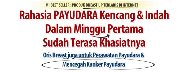 oris breast cream pengencang payudara