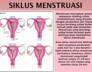 siklus menstruasi